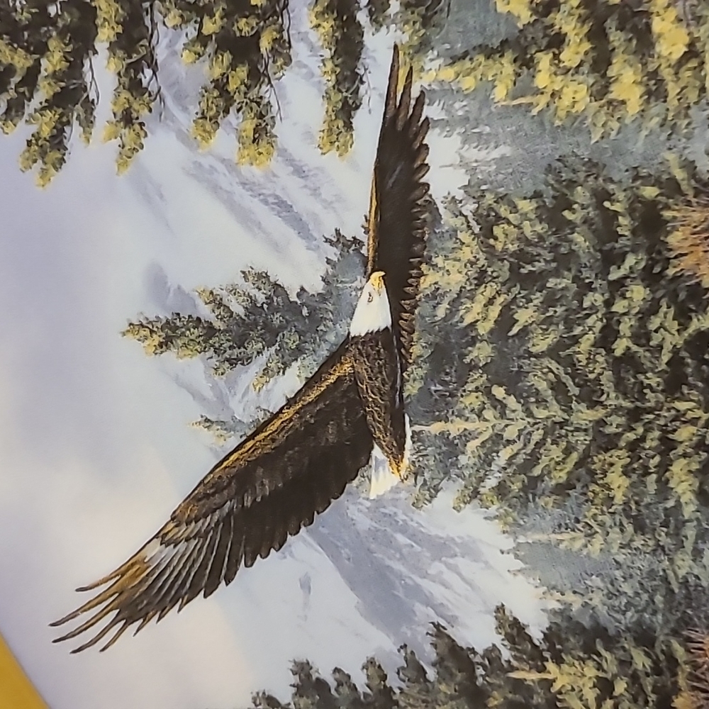 Collector plates - Picture 3 of 8